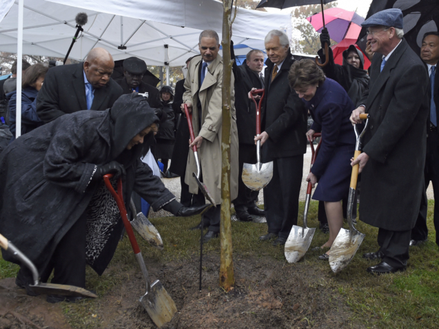 Janet Langhart Cohen, left, author of the play "Anne and Emmett," leans down to touch a plaque while planting a tree in honor of Emmett Till, a young African-American killed in 1955, during a ceremony on Capitol Hill in Washington, Monday, Nov. 17, 2014. She is joined by, from left, Rep. John Lewis, D-Ga., Attorney General Eric Holder, Sen. Thad Cochran, R-Miss., Sen. Susan Collins, R-Maine, and Sen. Roger Wicker, R-Miss.  (AP Photo/Susan Walsh)